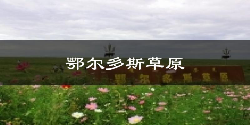 鄂尔多斯草原天气预报十五天