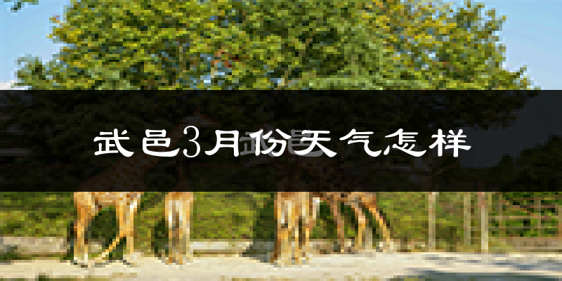武邑县3月份天气如何?冷吗?过去两年天气对比分析