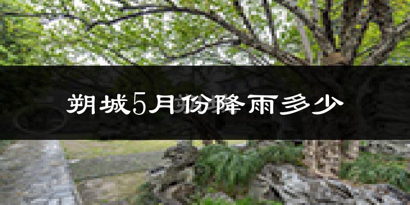 朔城5月份降雨多少?