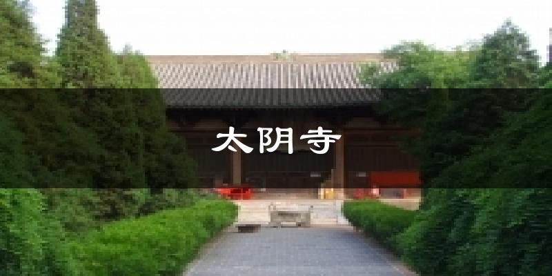 太阴寺天气预报十五天