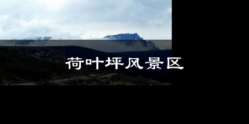 荷叶坪风景区天气预报十五天
