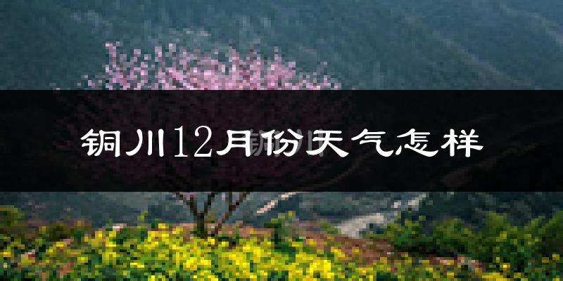 铜川12月份天气怎样?铜川十二月冷不冷?