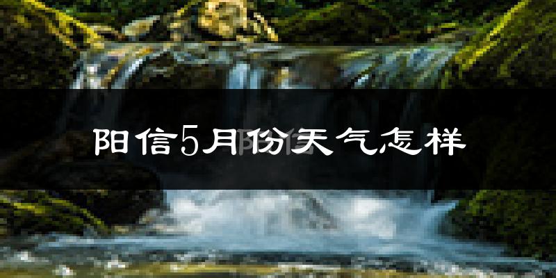 阳信县5月份天气如何?很热吗?