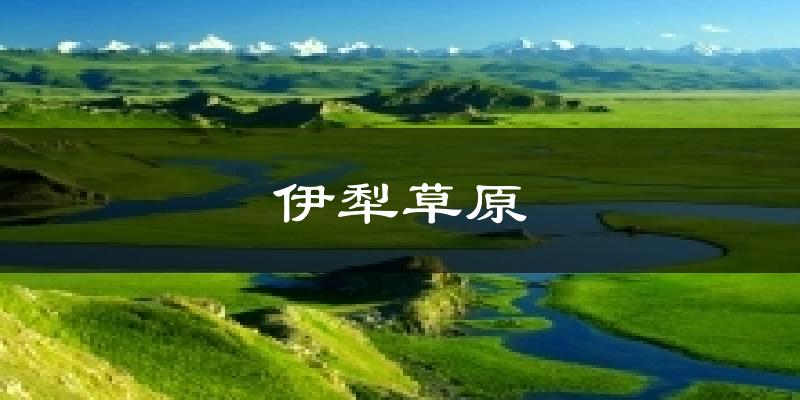 伊犁草原今日天气
