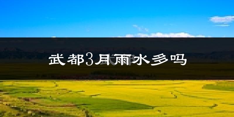 武都3月雨水多吗?