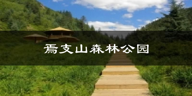 焉支山森林公园天气预报十五天