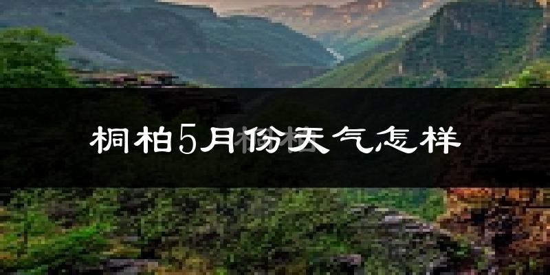 桐柏县5月份天气如何?很热吗?