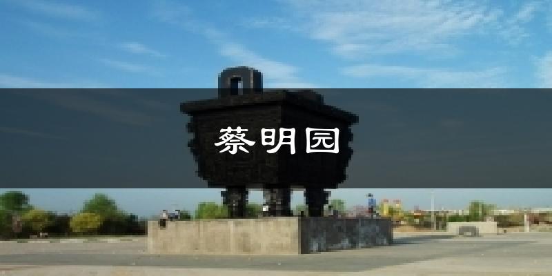 蔡明园天气预报十五天