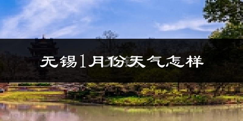 无锡市1月份天气如何?很冷吗?