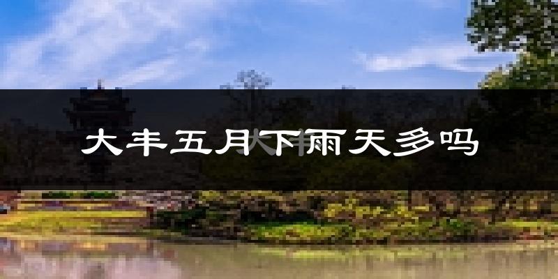 大丰五月下雨天多吗?大丰5月份降雨量多少?