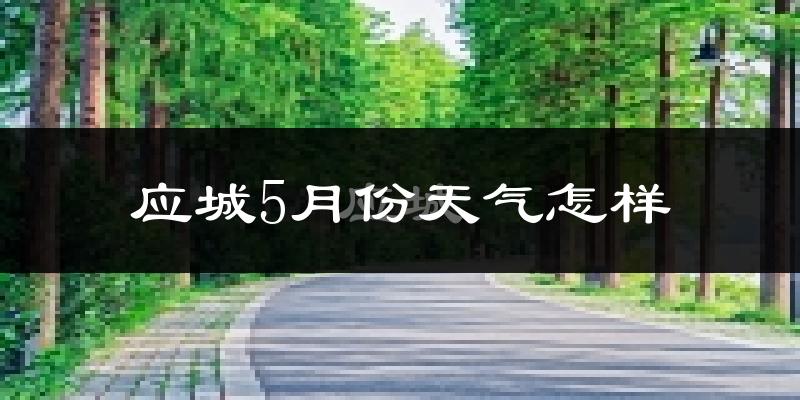 应城市5月天气如何?很热吗?