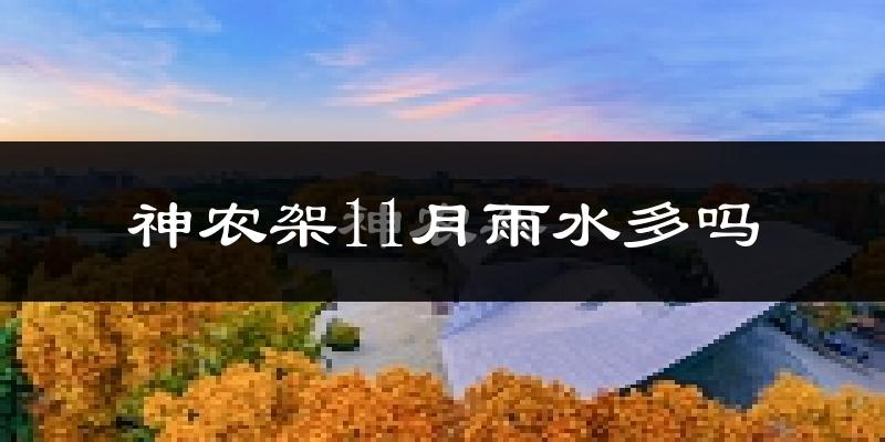 神农架11月雨水多吗?