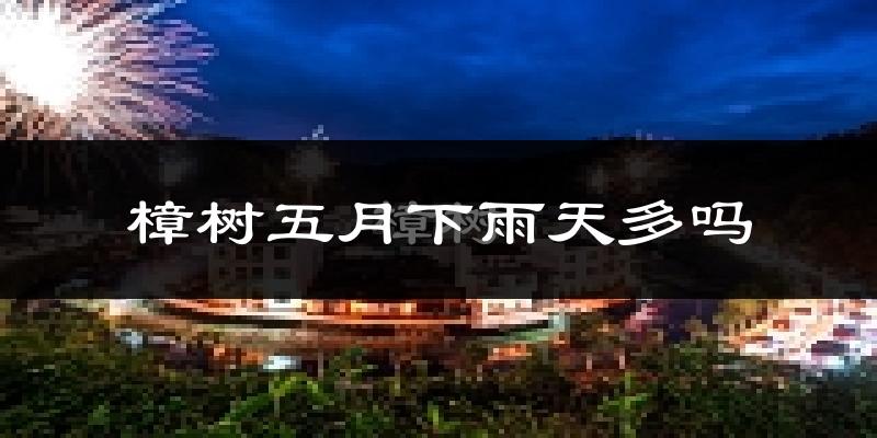 樟树五月下雨天多吗?樟树5月份降雨量多少?
