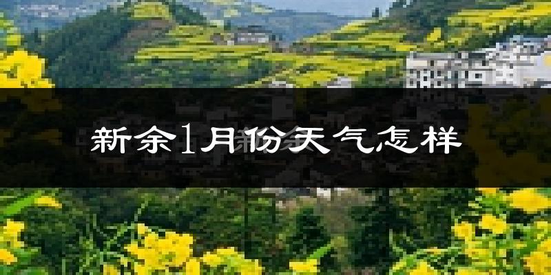 新余市1月份天气如何?很冷吗?