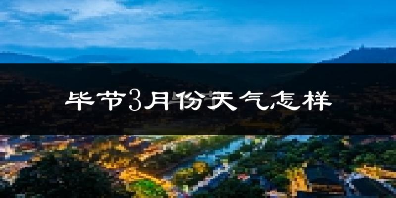 毕节市3月份天气如何?冷吗?过去两年天气数据分析