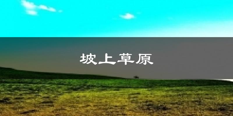 坡上草原天气预报十五天