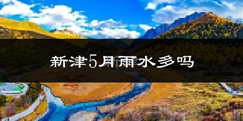 新津5月雨水多吗?
