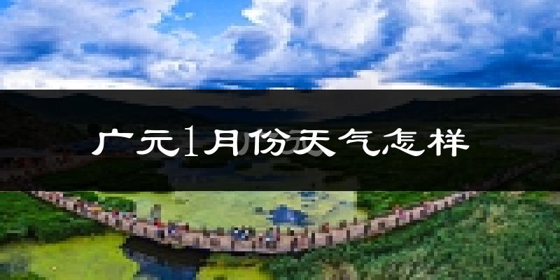 广元市1月份天气如何?很冷吗?