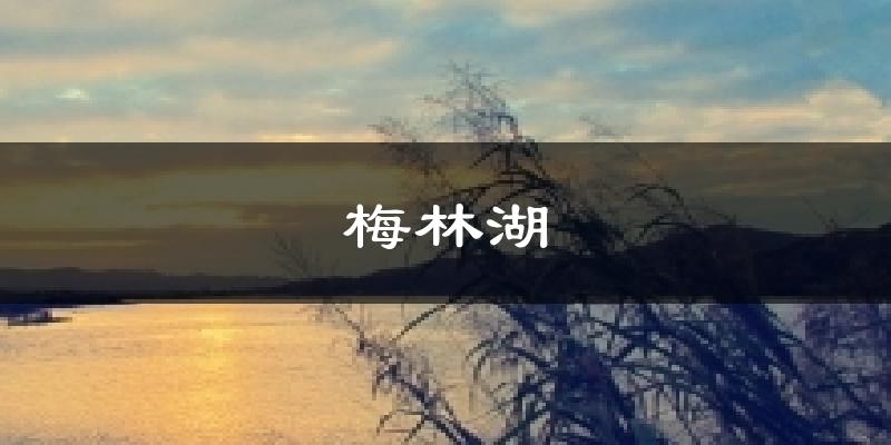 梅林湖天气预报十五天