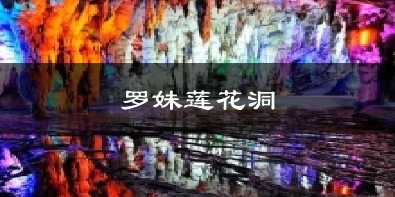 罗妹莲花洞天气预报十五天