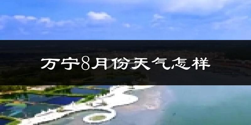 万宁市8月份天气如何?很热吗?