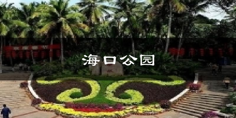 海口公园天气预报十五天