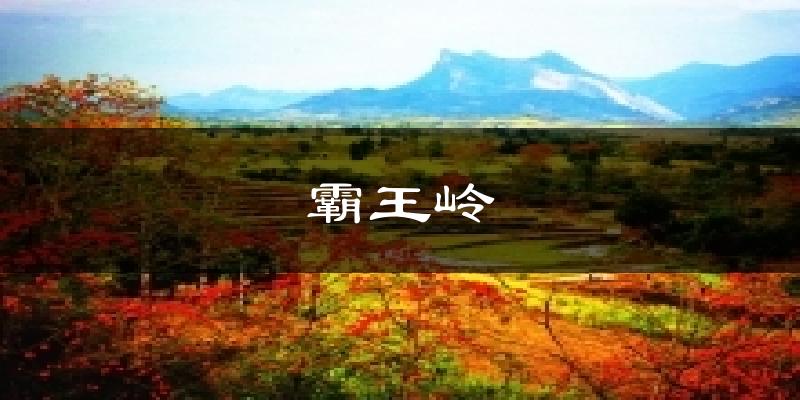 霸王岭天气预报十五天